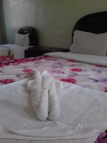 Hostal Millennium Guesthouse