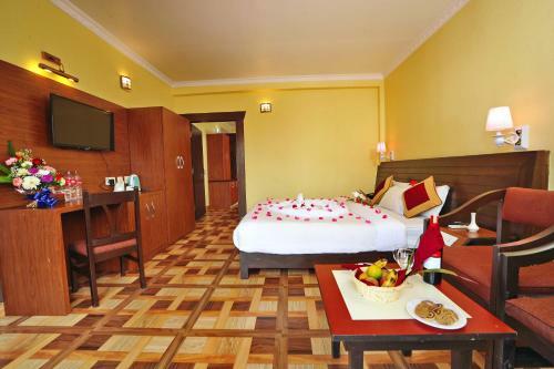 Hotel Dandelion