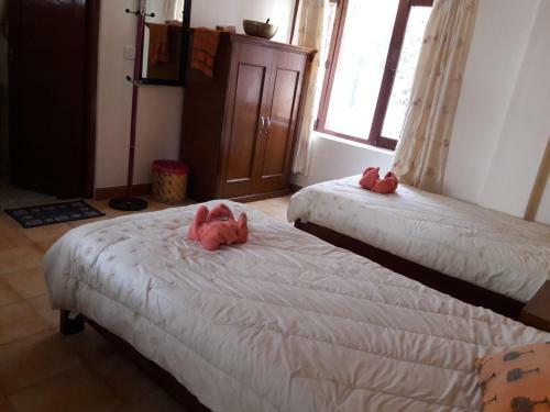 Bed & Breakfast Blueplanet Lodge