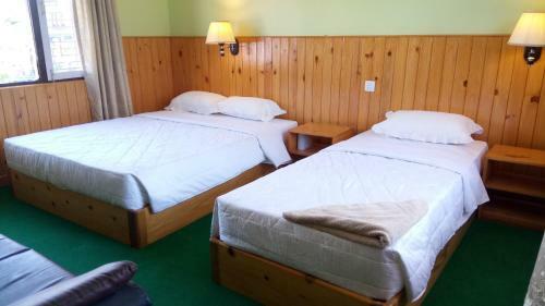 Hotel New Pokhara Lodge