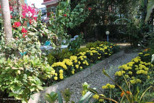 Hotel New Pokhara Lodge