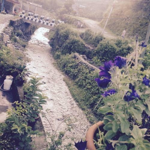 Bed & Breakfast Bishnu Homestay