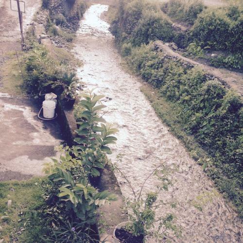 Bed & Breakfast Bishnu Homestay