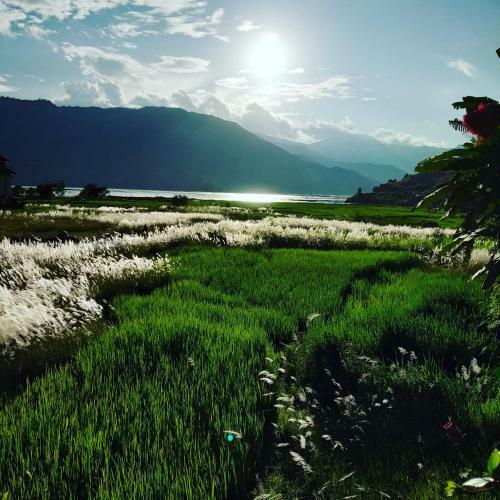 Bed & Breakfast Bishnu Homestay