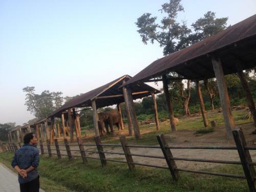 Bed & Breakfast Bishnu Homestay