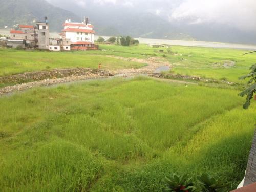 Bed & Breakfast Bishnu Homestay