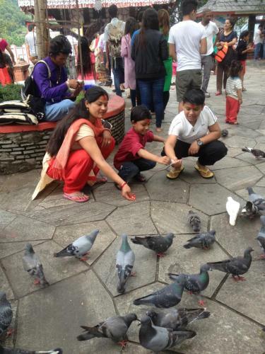Bed & Breakfast Bishnu Homestay