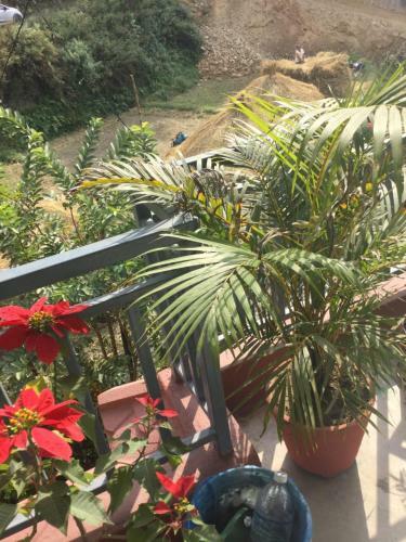 Bed & Breakfast Bishnu Homestay
