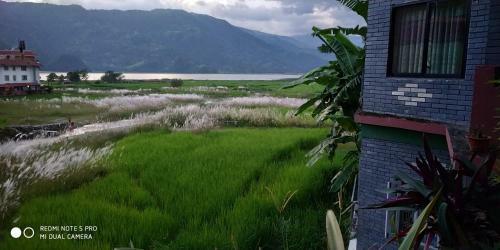 Bed & Breakfast Bishnu Homestay