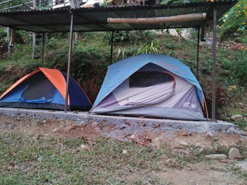 Hostal Peace Guest House