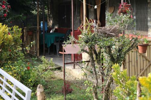 Gurkha Lodge