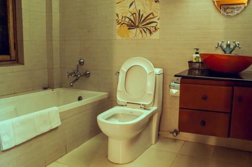 Hotel Lake View Resort