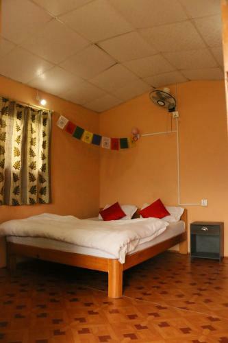 Hostal Peace Guesthouse Cottage