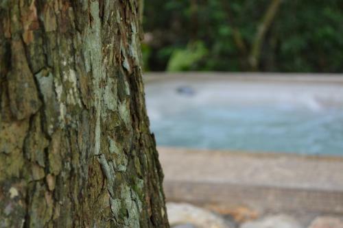 Hotel Jungle Lodge Tikal
