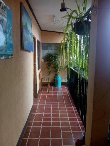 Hotel Hospedaje Eli