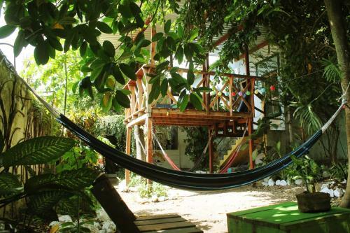 Ciao Cacao Hostel & Vegan Cafe