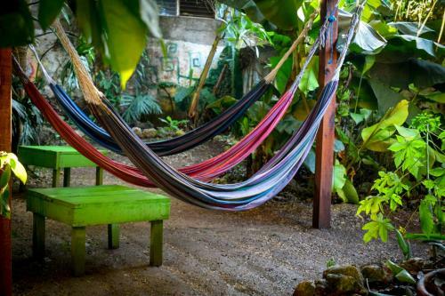 Ciao Cacao Hostel & Vegan Cafe