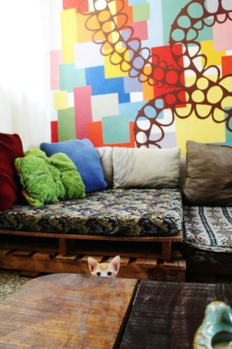 Ciao Cacao Hostel & Vegan Cafe