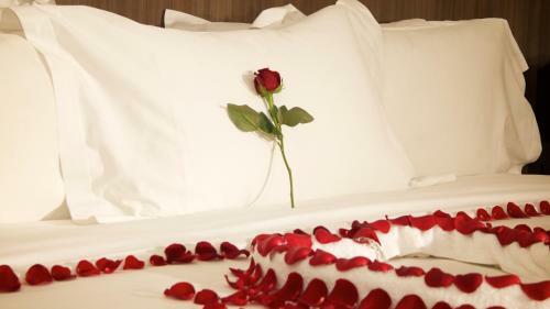 Elilly International Hotel