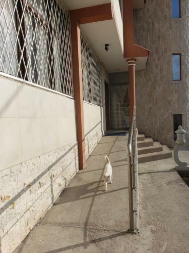 Hostal San Fernando