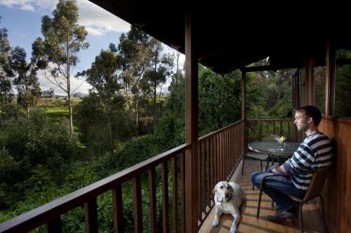 Posada Hosteria Papagayo Cotopaxi