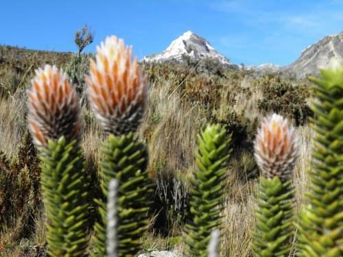 Albergue Hoster�a Ch�guac