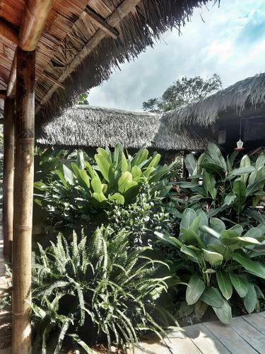Hotel La Bicok Ecolodge