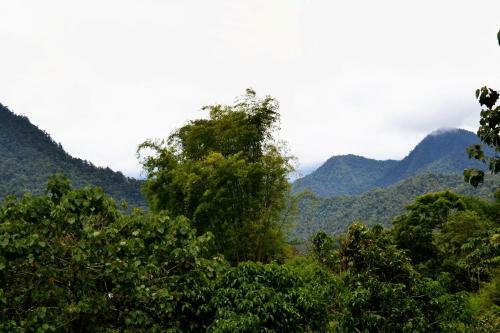 Lodge Mindo Green House