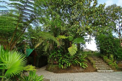 Terrabambu Lodge