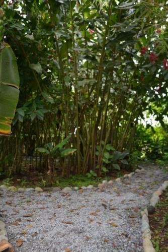 Hotel Hoster�a Los Cedros de Mindo