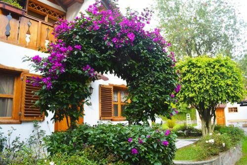 Hotel Quinta La Constanza