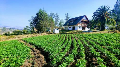 Albergue Samay Glamping Airport