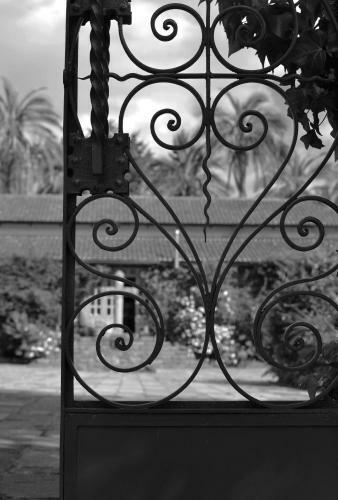 Hotel Hacienda La Carriona