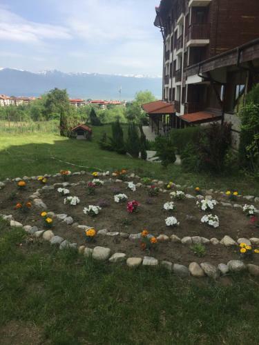Hotel Panorama Resort