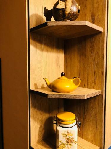 Borov Park Apartment