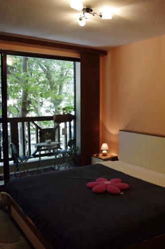 Borov Park Apartment