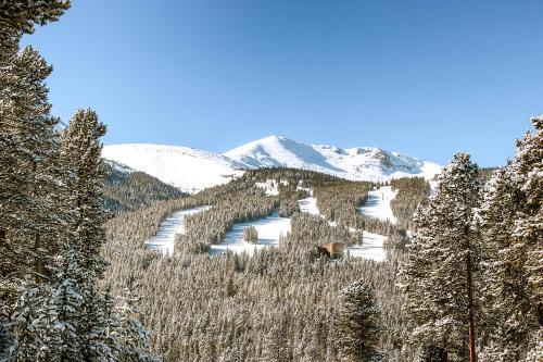 Grand Vista Lodge