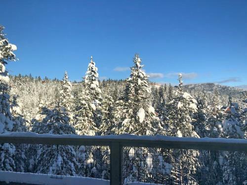 Tahoe Donner Home