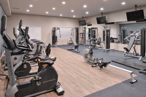 Hotel Holiday Inn Express & Suites Houston E - Pasadena