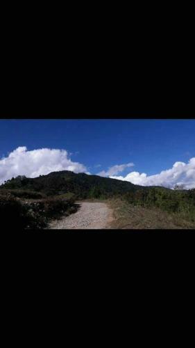 Serenity Homestay
