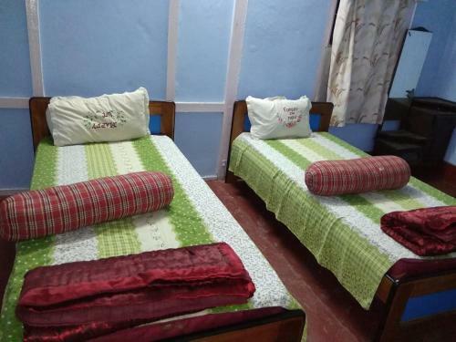 Vamoosetrail Ziro(3)