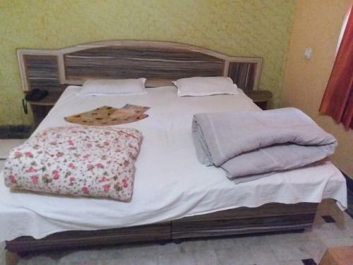 Hotel Narayan Palace