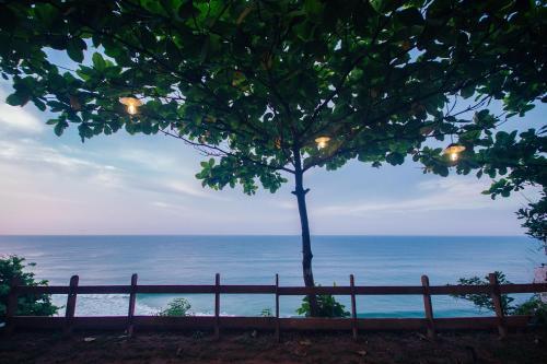 Hotel Cliff Stories