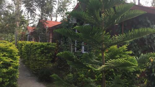 Hotel Coorg Nest Cottages