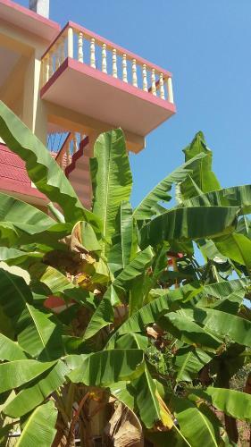 Posada Hari Om