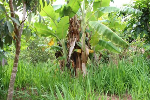 Bed & Breakfast Chezsoa