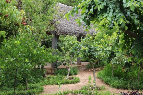 Bed & Breakfast Chezsoa