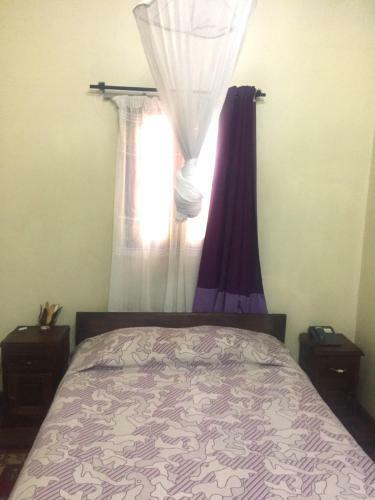 Hotel Tana-jacaranda