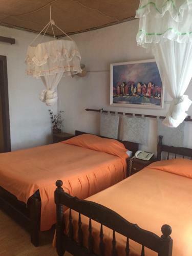 Hotel Tana-jacaranda