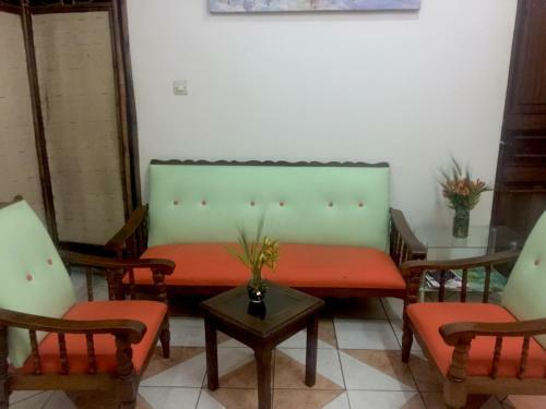Hotel Tana-jacaranda